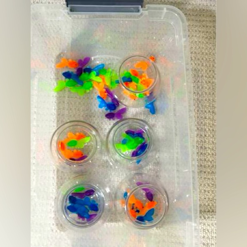 Counting & Sorting Fish 🐟 Summer Learning